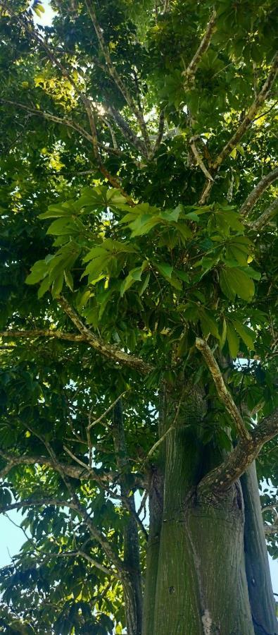 Casa Kukama Lodge Iquitos Ngoại thất bức ảnh