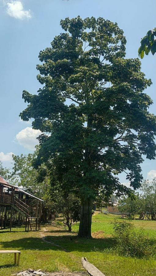 Casa Kukama Lodge Iquitos Ngoại thất bức ảnh